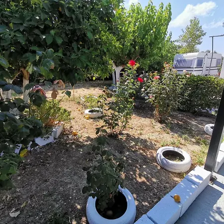 Campsite Green Garden Caravan Agrilia