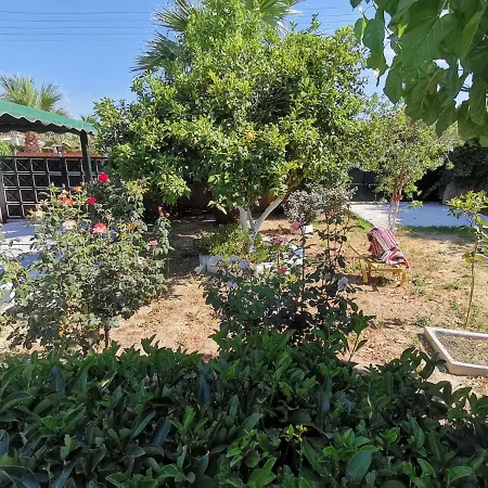 Green Garden Caravan *